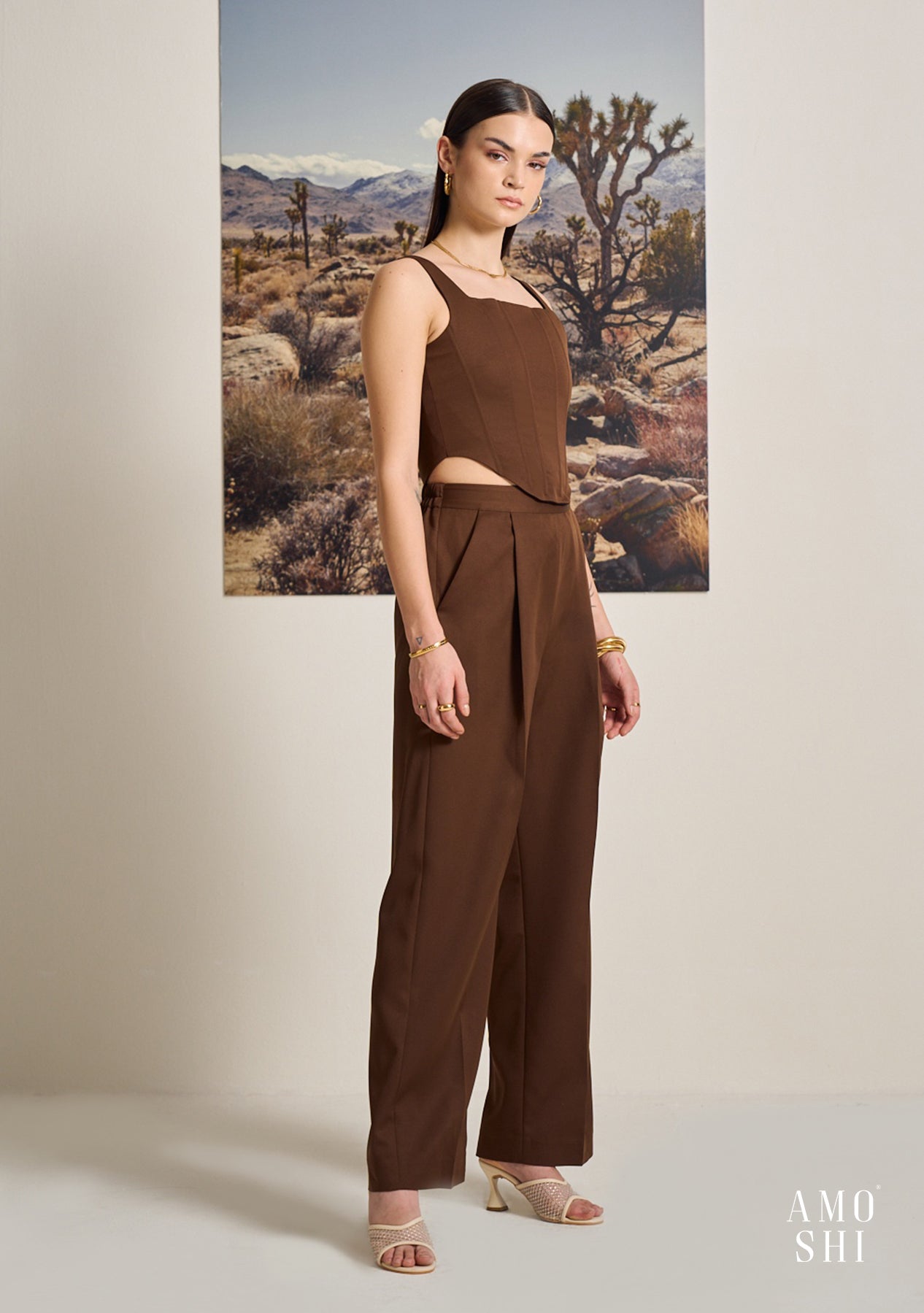 Cory Corset Top (Brown)