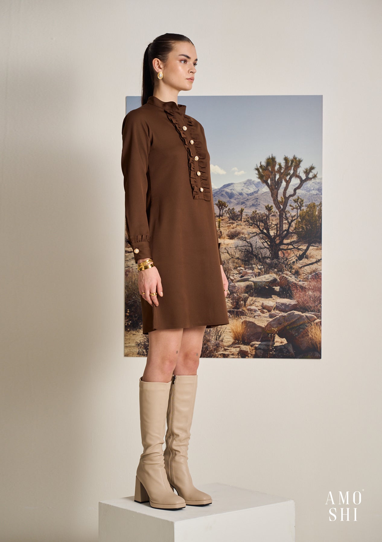 Frilla Dress (Brown)