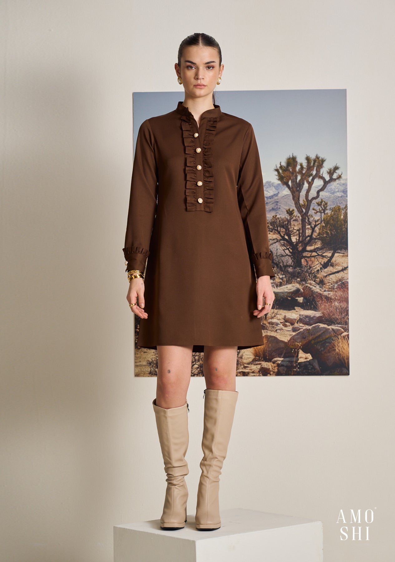 Frilla Dress (Brown)