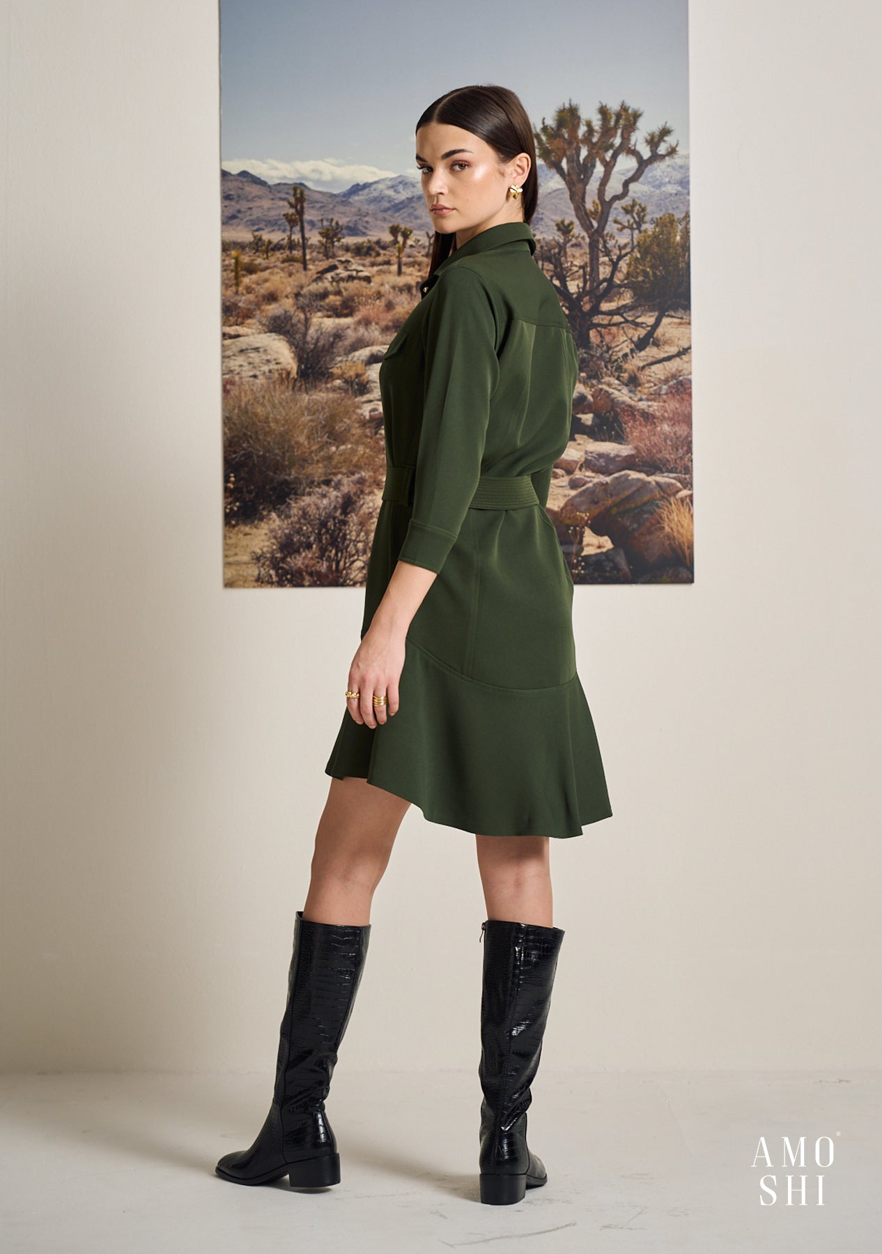 Sadie Dress (Olive)