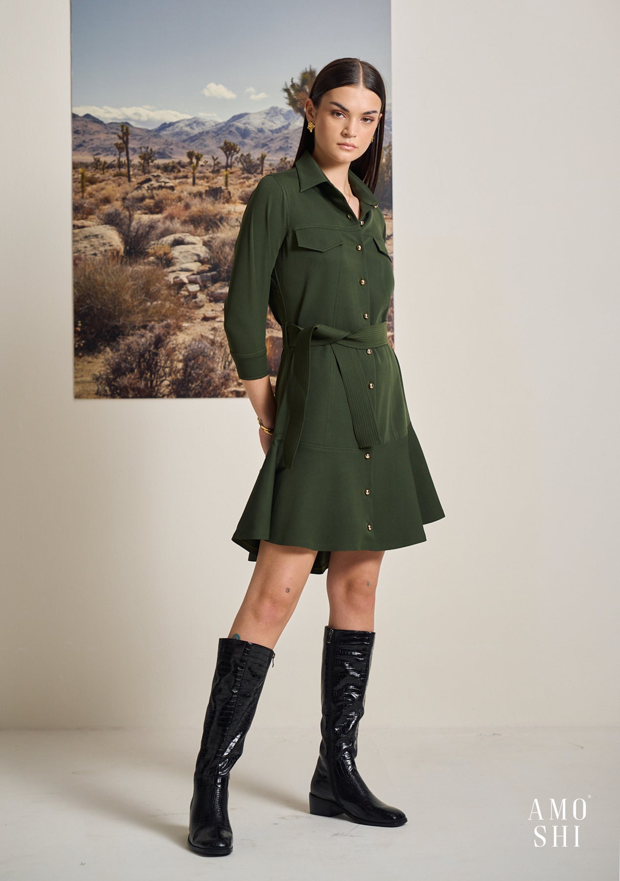 Sadie Dress (Olive)