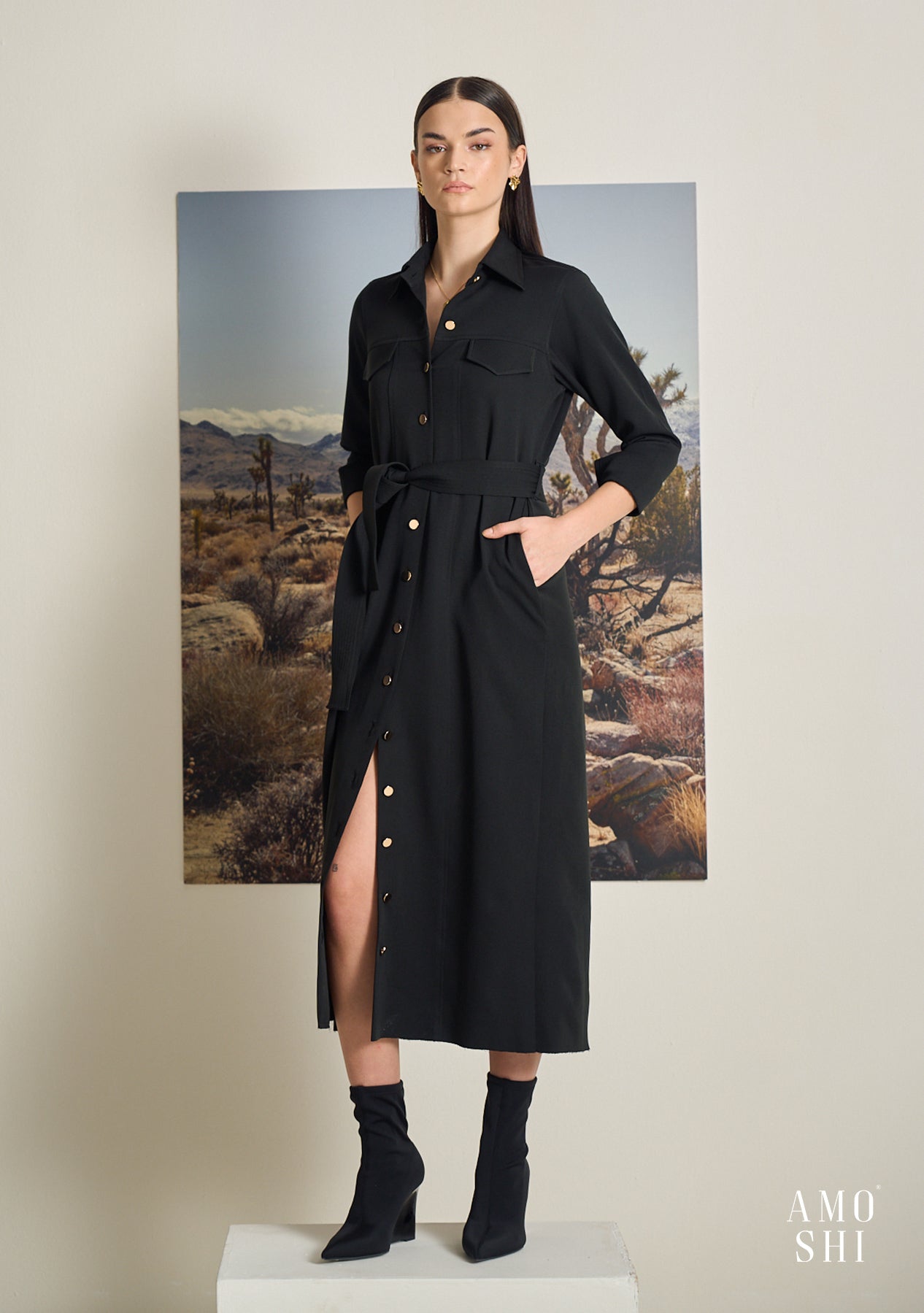 Tress Midi Dress (Black)