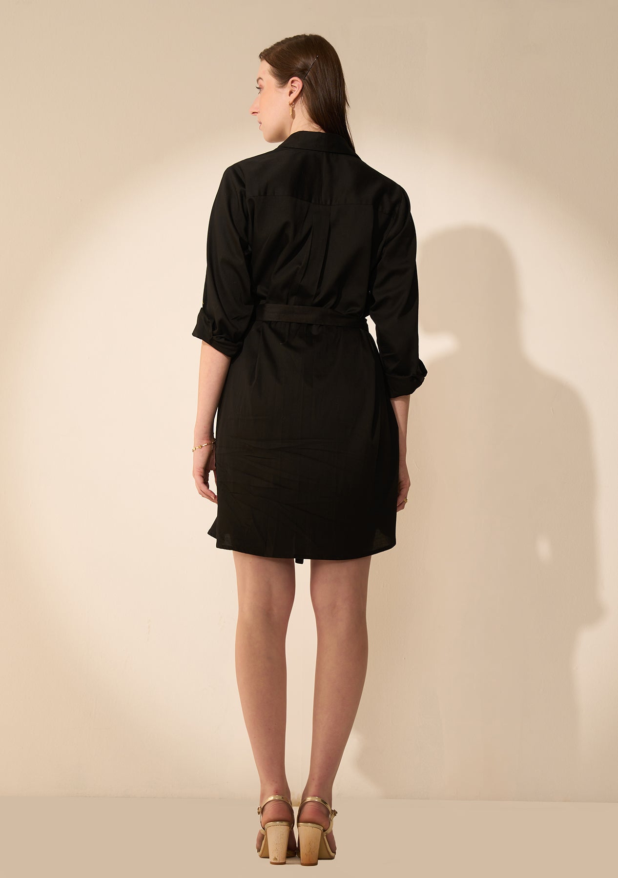 Pops Buttondown Shirt Dress