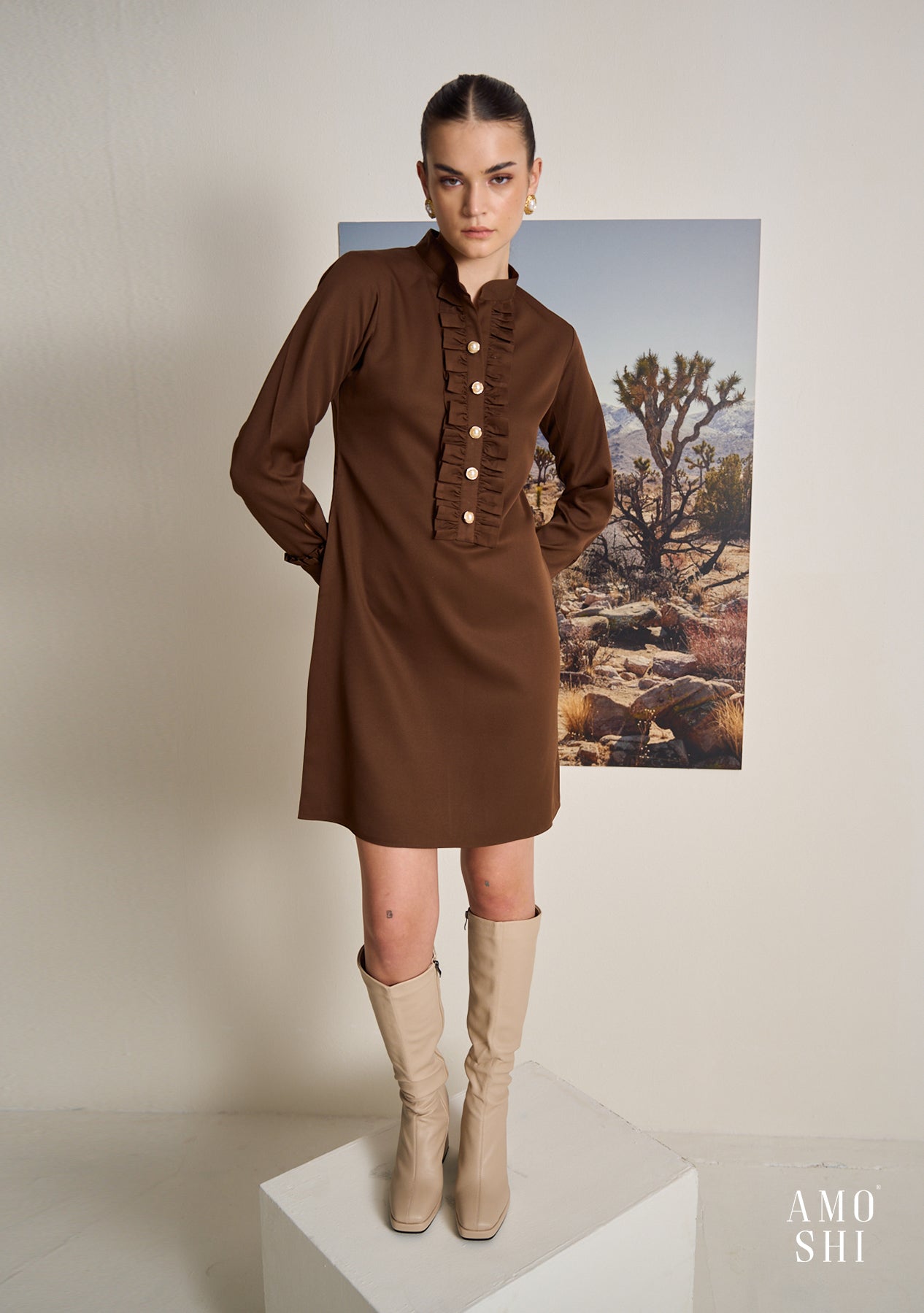 Frilla Dress (Brown)