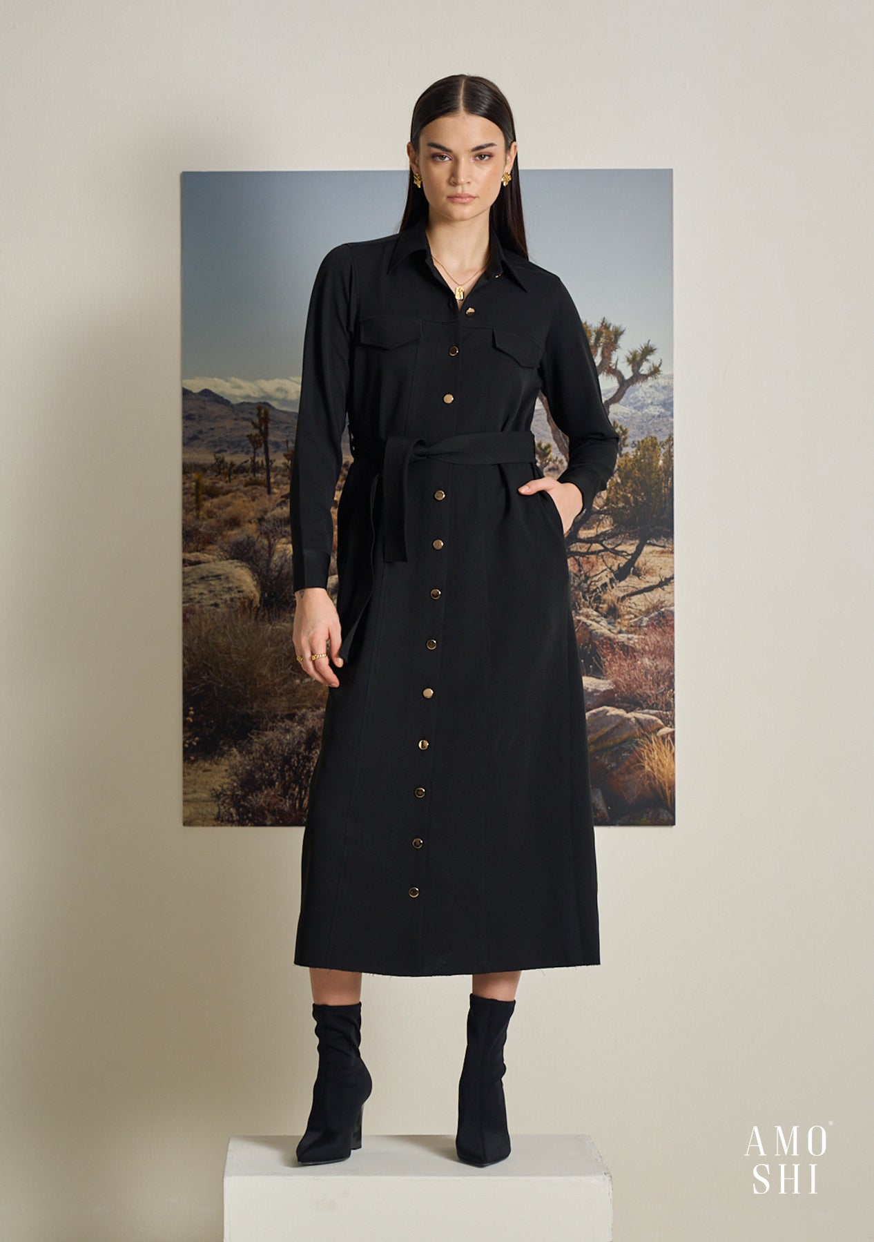 Tress Midi Dress (Black)