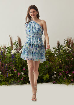 Pheobe Mini Dress (Blue)
