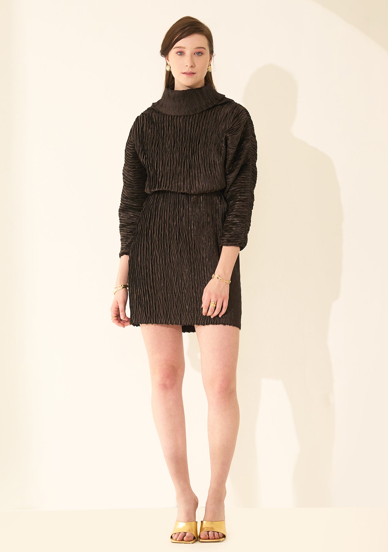 Hera Turtleneck Dress (Black)