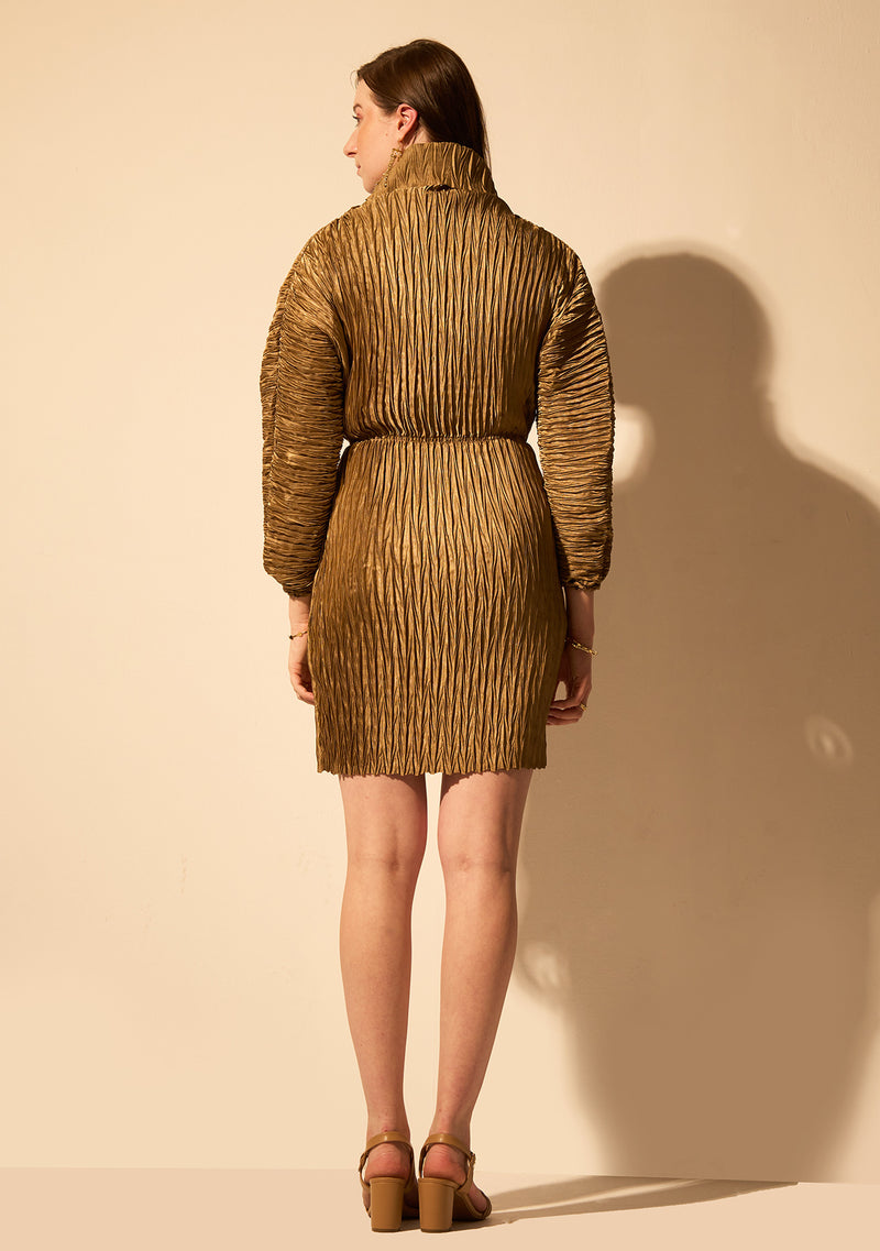 Hera Turtleneck Dress (Brown)